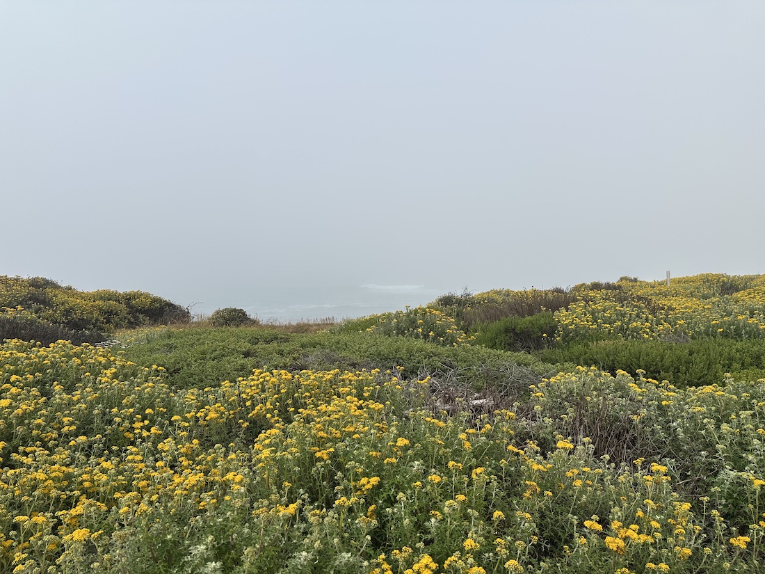 The Bluffs at Wilder